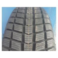 Легкогрузовые зимние шины Roadstone Euro-Win 700 195/70R15C 104/102R